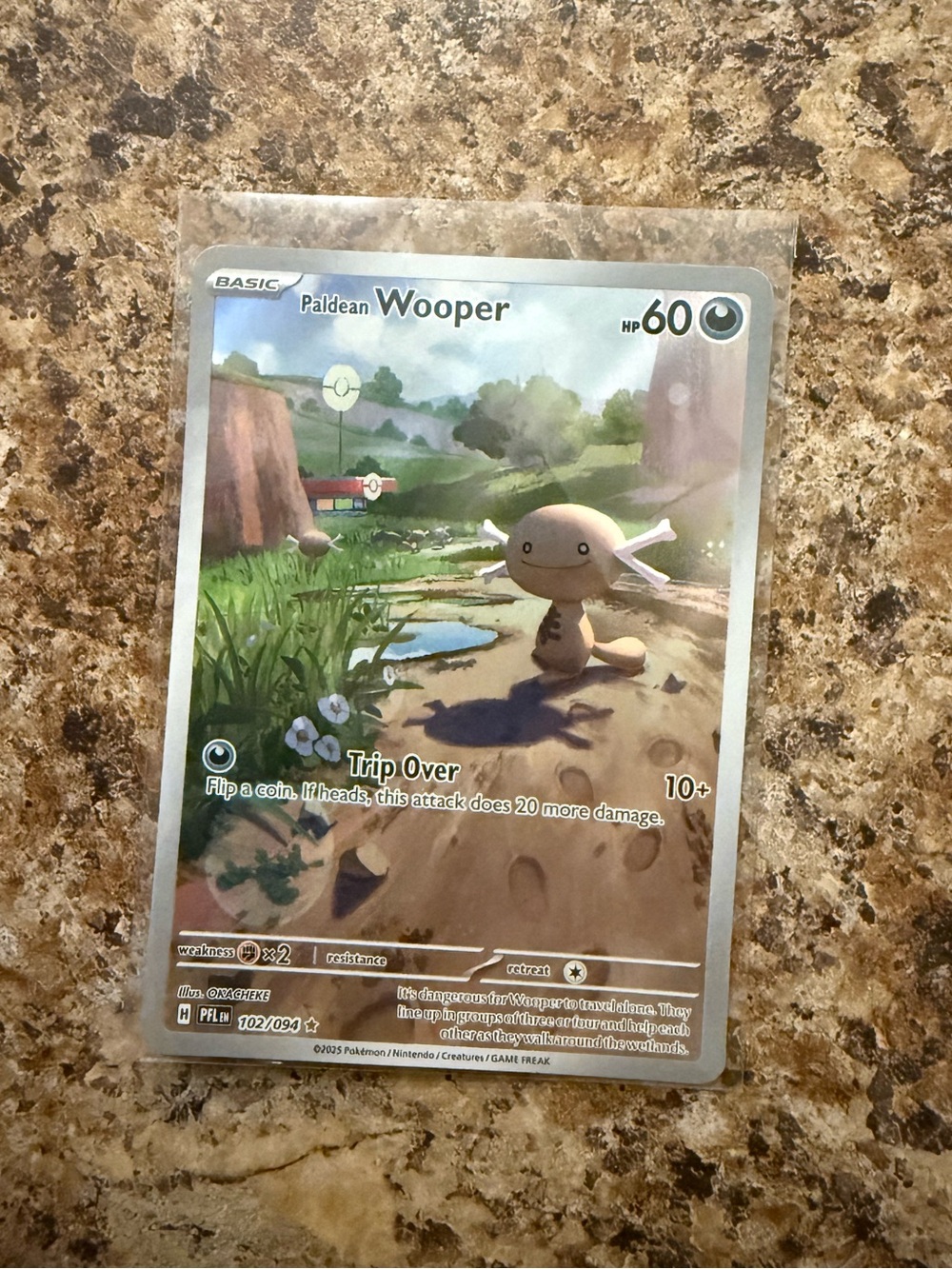 Pokemon Paldean Wooper Holofoil Card - Brown, Green, Blue